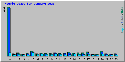 Hourly usage for January 2020