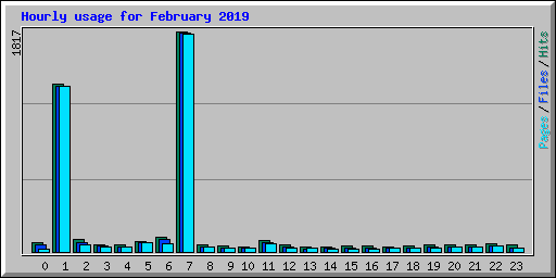 Hourly usage for February 2019