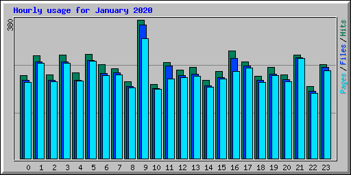 Hourly usage for January 2020