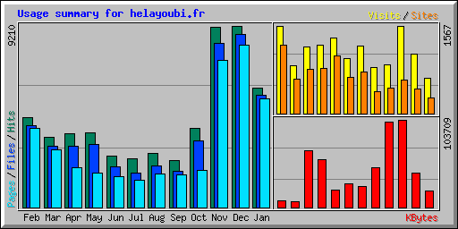 Usage summary for helayoubi.fr