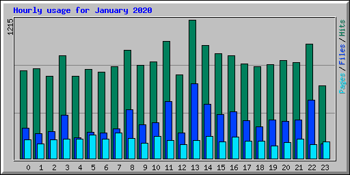 Hourly usage for January 2020