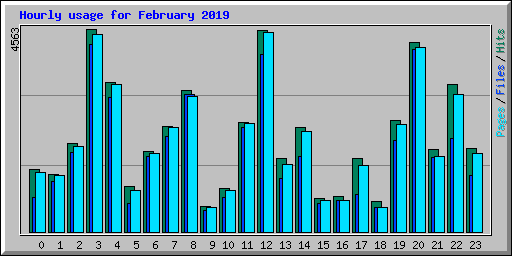 Hourly usage for February 2019