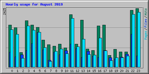 Hourly usage for August 2019