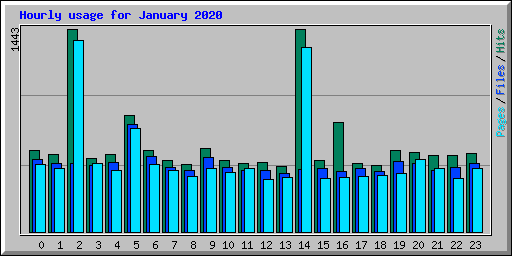 Hourly usage for January 2020